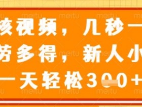 审核视频，几秒一单，多劳多得，新人小白一天轻松3张【揭秘】