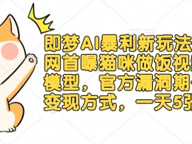 即梦AI暴利新玩法：全网首曝猫咪做饭视频躺Z模型，官方漏洞期+多种变现方式，一天5张