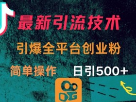 最新引流方法，引爆全平台的一个创业粉，简单操作日引300+