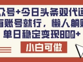 公众号+今日头条双代运营，有账号就行，单日稳定变现8张【揭秘】