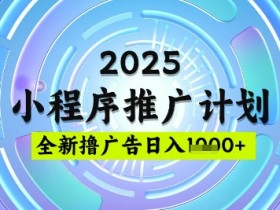 2025微信小程序推广计划，撸广告玩法，日均5张，稳定简单【揭秘】