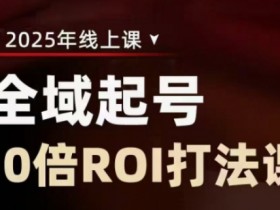 2025全域起号10倍ROI打法课，助你提升直播间的投资回报率