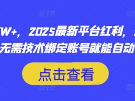 月入过W+，2025最新平台红利，无需本金、无需技术绑定账号就能自动收米