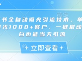 小红书全自动曝光引流技术，单日精准曝光1000+客户，一键启动，小白也能当天引流【揭秘】