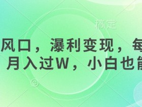 女杏商风口，瀑利变现，每天1小时，月入过W，小白也能做