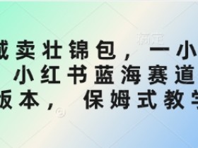 私域卖壮锦包，一小时3张，小红书蓝海赛道3.0版本， 保姆式教学