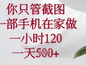 你只管截图，一部手机在家做，一小时120.一天5张【揭秘】
