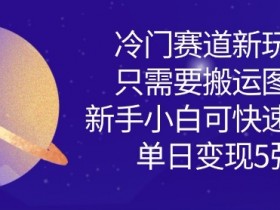 冷门赛道新玩法，只需要搬运图片，新手小白可快速上手，单日变现多张
