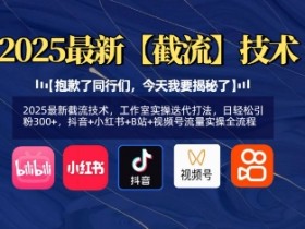 2025最新截流技术，工作室实操迭代打法，日轻松引粉300+，抖音+小红书+B站+视频号流量实操全流程