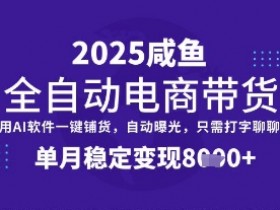 全网首发【闲鱼全自动电商带货】三年磨一剑，一朝露锋芒，单月稳定变现8k+【揭秘】