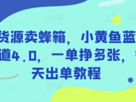 无货源卖蜂箱，小黄鱼蓝海赛道4.0，一单挣多张，每天出单教程