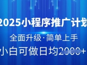 2025小程序推广计划，全面升级，简单上手，日均多张【揭秘】