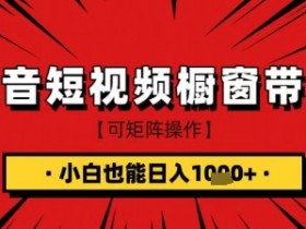 抖音短视频食品橱窗带货，小白轻松上手日入1k+【揭秘】