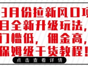 3月份拉新风口项目全新升级玩法，门槛低，佣金高，保姆级干货教程