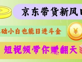 最新京东短视频带货代运营秘籍，轻松躺挣【揭秘】