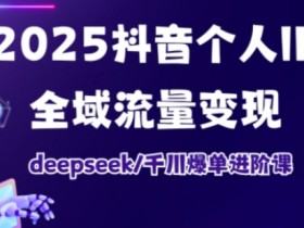 2025抖音个人IP全域流量变现进阶课，deepseek千川爆单进阶课