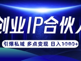 云帆·创业ip合伙人打造3.0，从0到1教你做网创，实现月入过W