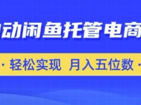 全自动闲鱼托管式电商带货，只需一部安卓手机和一个闲鱼号，轻松实现月入五位数【揭秘】