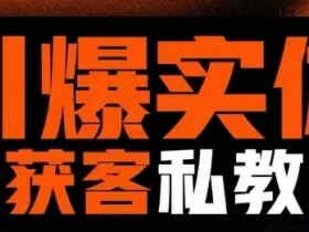 引爆实体AI模板引流私教班，从0~1讲透实体短视频获客