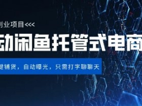 【闲鱼全自动电商带货】三年磨一剑，一朝露锋芒，长期稳定项目，单日稳定变现5张【揭秘】