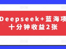 最新Deepseek+蓝海项目，十分钟收益2张