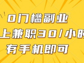 0门槛副业，线上兼职30一小时，有部手机即可【揭秘】
