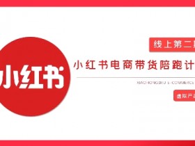 2025小红书虚拟电商实战课，从0到1打造无货源店铺，AI+爆款笔记轻松变现