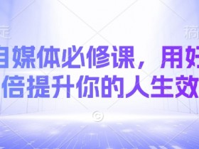 AI自媒体必修课，用好AI 10倍提升你的人生效率
