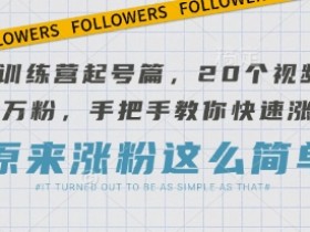 AI训练营起号篇，20个视频搞定万粉，手把手教你快速涨粉