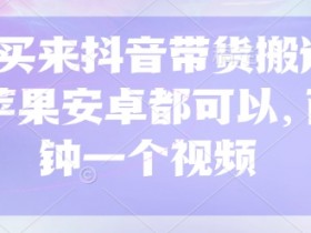 299买来抖音带货搬运技术，苹果安卓都可以，两分钟一个视频