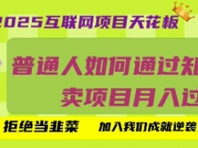 2025互联网项目天花板，普通人如何通过知识付费卖项目月入过W，拒绝当韭菜【揭秘】