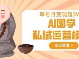 AI国学私域运营模型，单号月变现过W