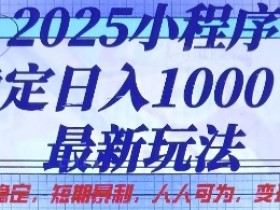 2025小程序稳定日入1k，最新玩法项目长期稳定，短期是利，人人可为，变现快且可观【揭秘】