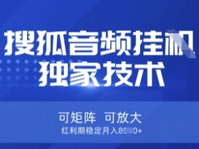 【搜狐音频挂G】独家技术，可矩阵可放大，红利期稳定月入8k【揭秘】