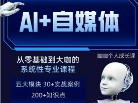 AI+自媒体+RPA变现训练营，写作变现+AI使用+SEO+多平台运营+RPA自动化