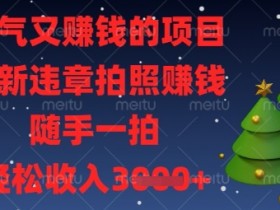解气又挣钱的项目，最新违章拍照挣钱，随手一拍，轻松收入数张【揭秘】