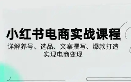 戴小胖·小红书从0-1实操课（2023-2025）
