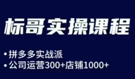 标哥电商·拼多多飞龙在天玩法（更新3月）