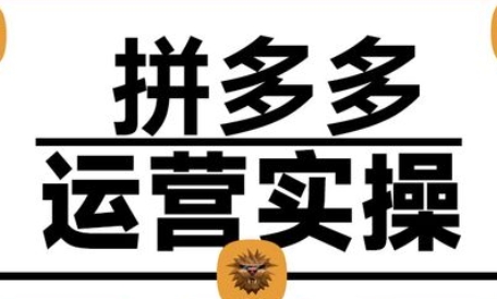 仙道电商·2025拼多多运营实战课