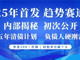 2025年首次公开，真正的事业型赛道，客咨不断，单月轻松破W