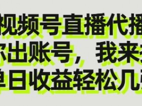 视频号直播代播，你出账号我来播，单日收益轻松几张【揭秘】