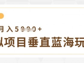 虚拟项目垂直玩法，实现单店月入5k+