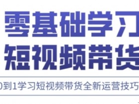 快手运营+高阶剪辑实战课，0到1学习短视频带货全新运营技巧