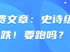 付费文章：史诗级暴跌！要跑吗？