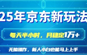 （14309期）25京东新玩法，每天半小时，月稳定1W+