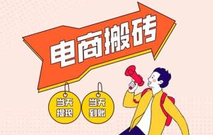 （14310期）电商搬砖项目，单机日收益300+，非常暴力，小白上手就会