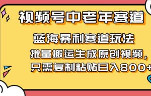 （14314期）2025视频号中老年短视频蓝海暴利风口！复制粘贴搬运视频单日赚800+，无…