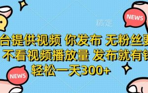 （14317期）平台提供视频 你发布 无粉丝要求 不看视频播放量 发布就有钱 轻松一天300+