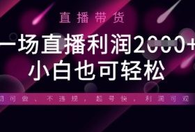 半无人直播带货，一场利润数张，适合所有平台玩法，小白也可轻松