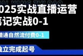 2025实战直播运营0-1，精通自然流付费0-1，可独立完成起号